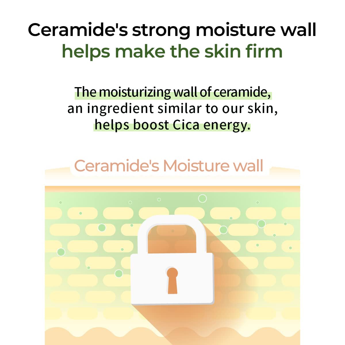 numbuzin No.2 Cica Ceramide Repair Cream | Facial Moisturizer, Strengthen Skin Barrier, Centella Asiatica, Real Ceramide, Butter Texture | Korean Skin Care for Face, 2.02 fl oz, 60ml