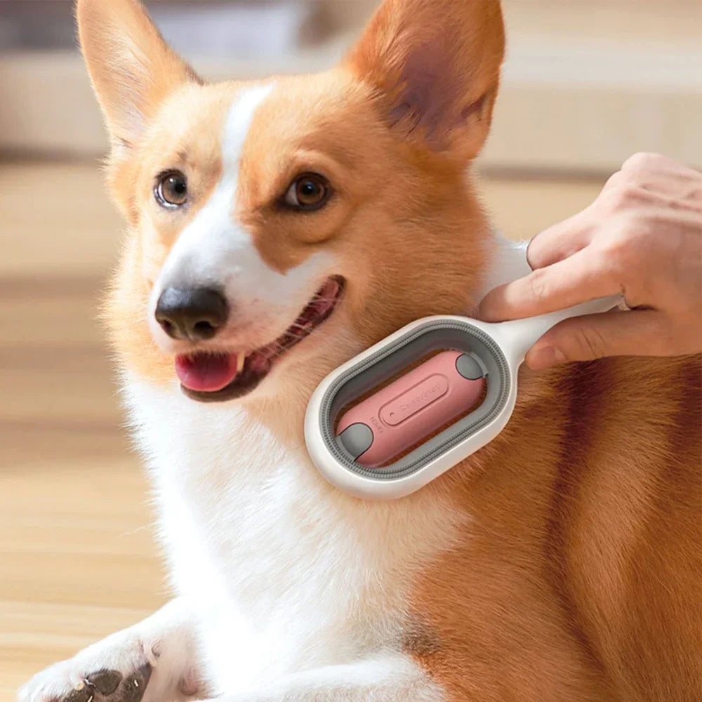 Cat Cleaning Floating Hair Removal Comb with Disposable Wipes Pet Grooming Accessories for Cats Gotas mascotas Dog Brush