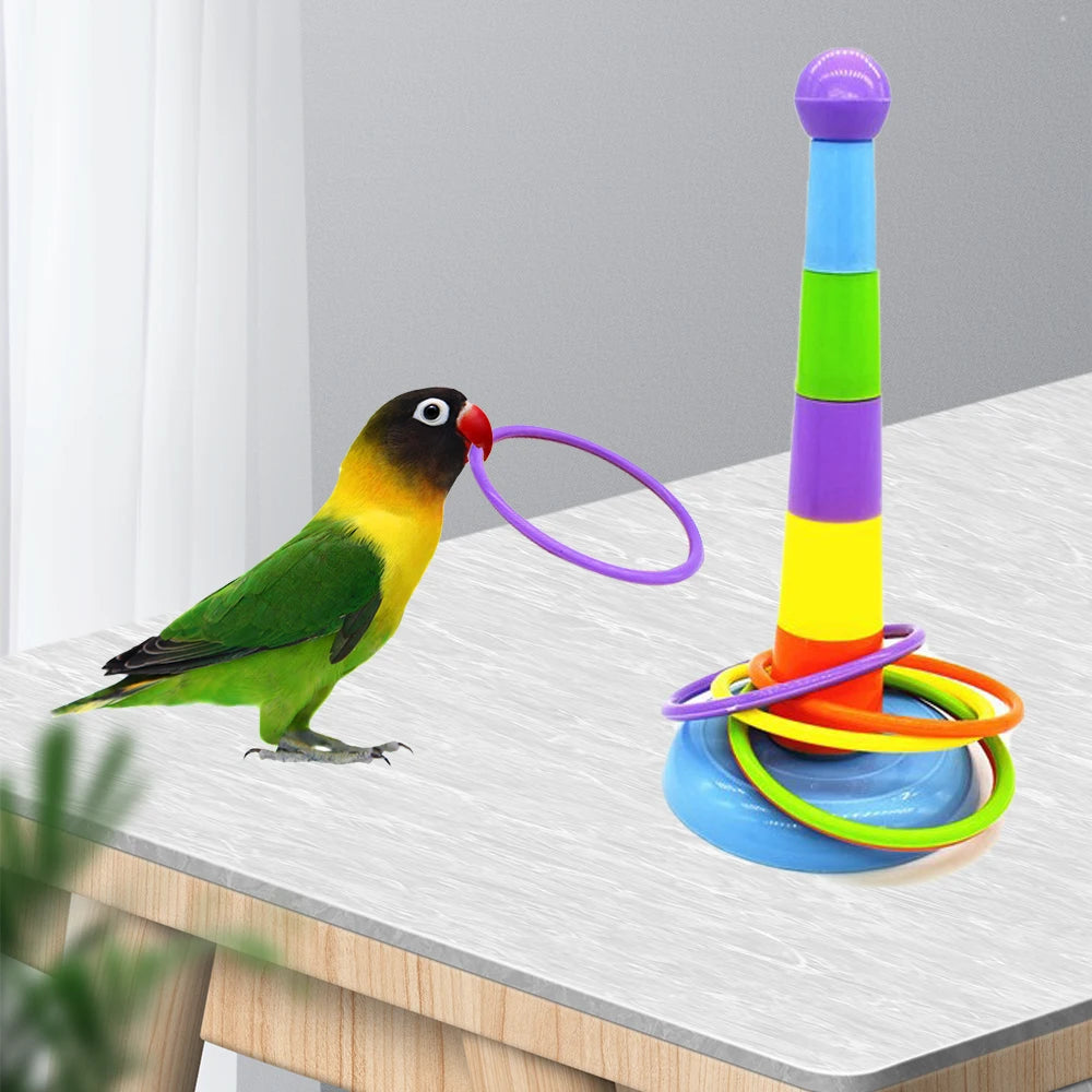 Funny Mini Ferrule Toy for Parrot Bird Training Intelligence Toy Game Colorful Rings Bird Activity Training Toy DropShipping