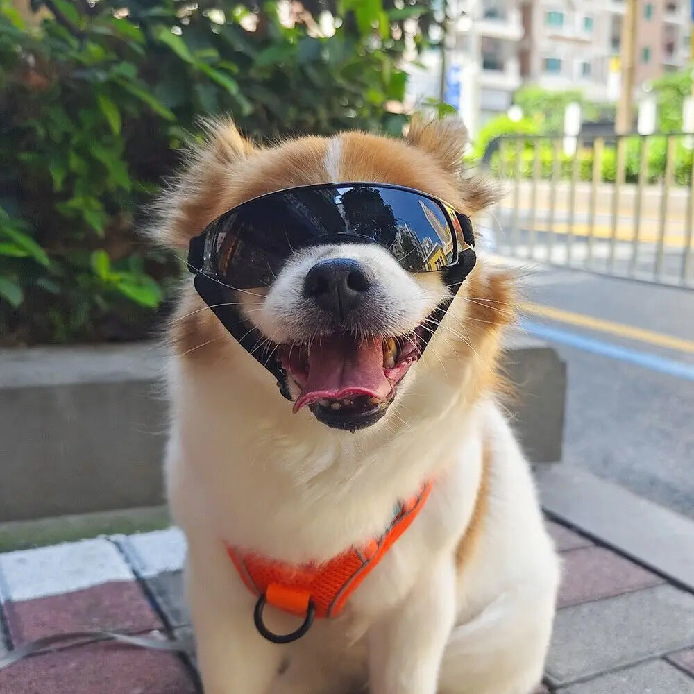 Dog Goggles Dog Sunglasses Adjustable Strap for Small Breed UV Protection Eyewear for Small Dog puppy Outdoor Riding Driving