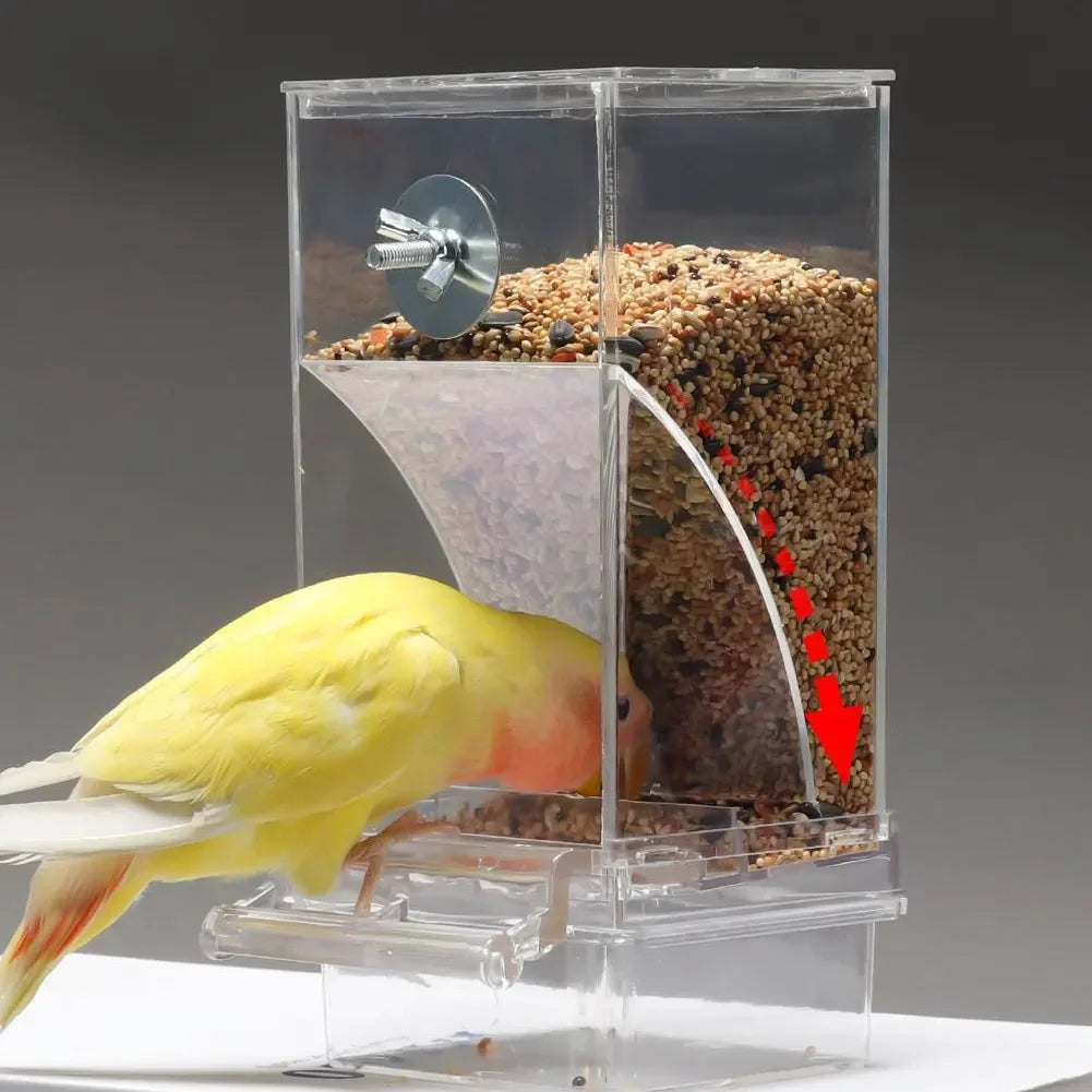 Automatic Bird Feeders No Mess Parrot Feeder Drinker Acrylic Seed Food Container Cage Accessories For Small And Medium Parakeets