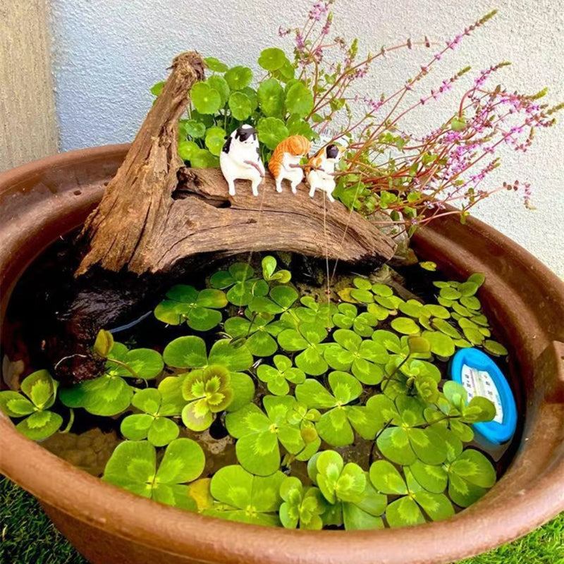 Fishing Cat Figurine Fishtanks Landscaping Ornament Aquariums Pendant Home Decor for Freshwater Saltwater Drop Shipping