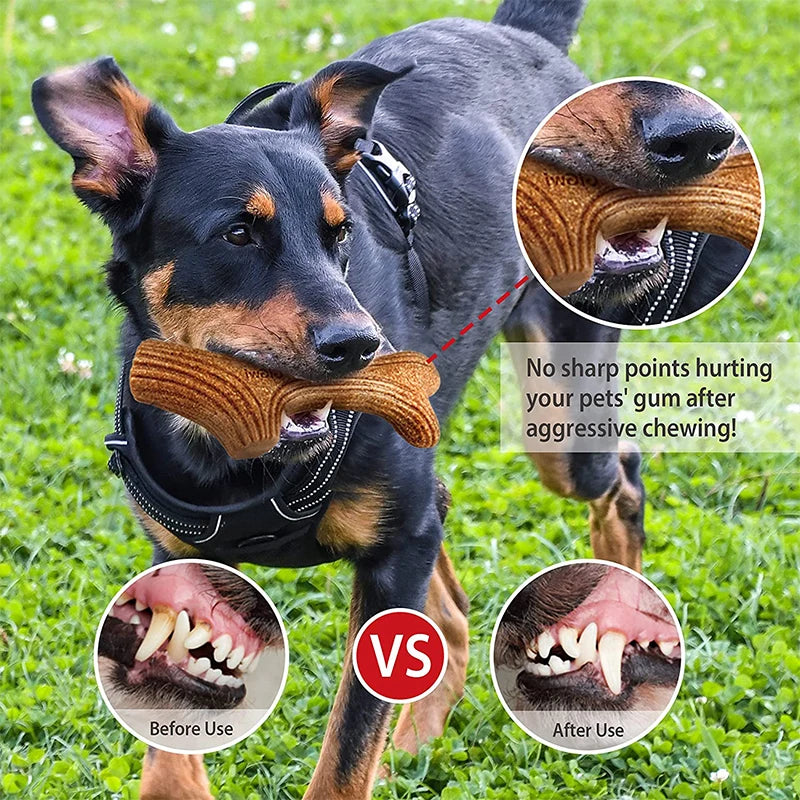 GiGwi Dog Chew Toy Real Wood Powder PP Dog Interactive Toy Tree Branch Dog Dental Chews Stick Pet Chewing Toys Bone Dogs Gift