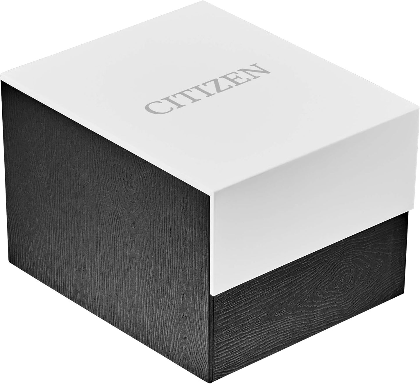 Citizen Quartz Men's Watch, Stainless Steel, Classic, Two-Tone (Model: BF2005-54L)