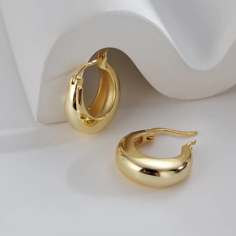 925 Sterling Silver plated Chunky Hoop Earrings for Women Geometric Circle Punk Ear Jewelry Party Gifts 2021 New Dropshipping