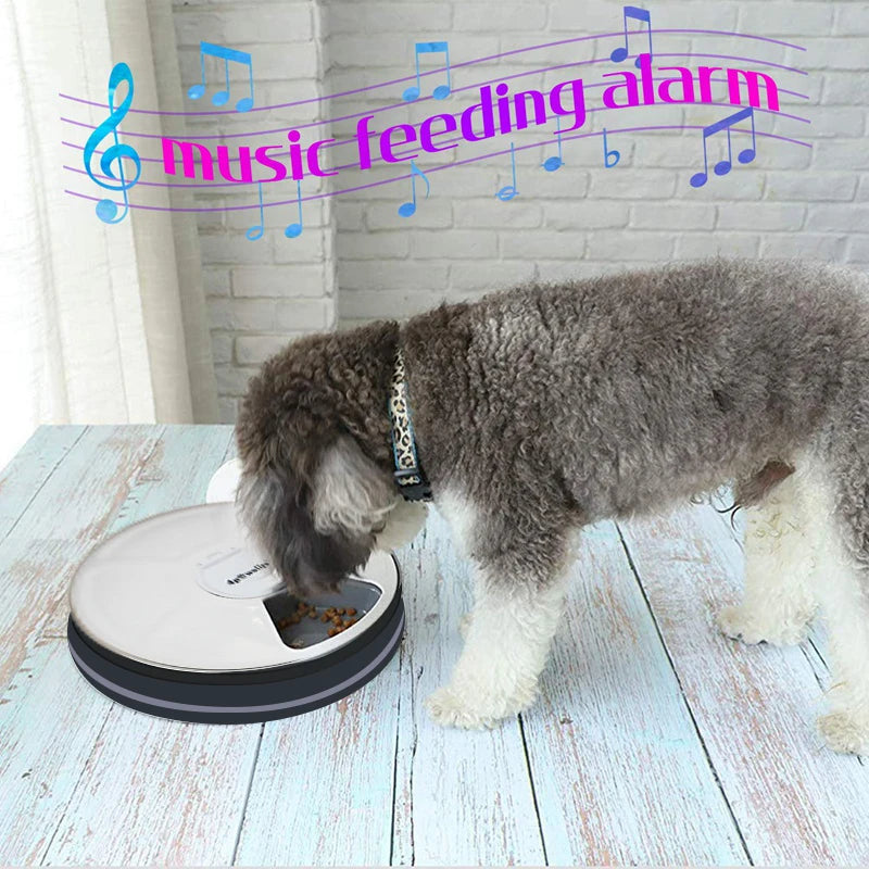 Pet Automatic Feeder Food Timing Dispenser Portion Control Detachable Dogs Cats Anti Slip With Voice Recorder Dry Wet Food