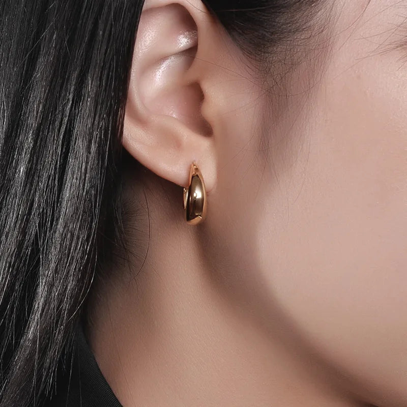925 Sterling Silver plated Chunky Hoop Earrings for Women Geometric Circle Punk Ear Jewelry Party Gifts 2021 New Dropshipping