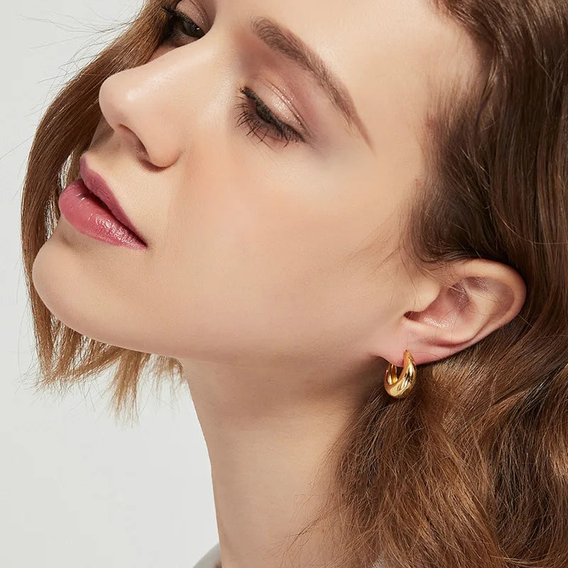 925 Sterling Silver plated Chunky Hoop Earrings for Women Geometric Circle Punk Ear Jewelry Party Gifts 2021 New Dropshipping