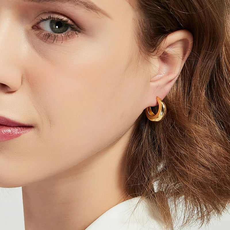 925 Sterling Silver plated Chunky Hoop Earrings for Women Geometric Circle Punk Ear Jewelry Party Gifts 2021 New Dropshipping