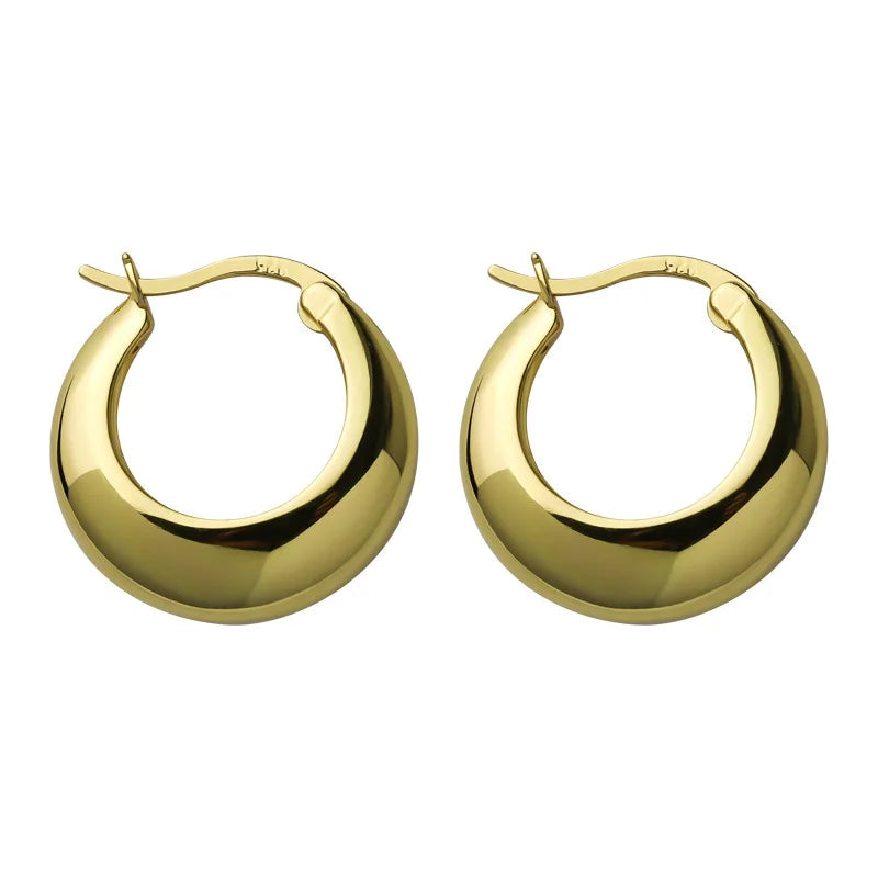 925 Sterling Silver plated Chunky Hoop Earrings for Women Geometric Circle Punk Ear Jewelry Party Gifts 2021 New Dropshipping