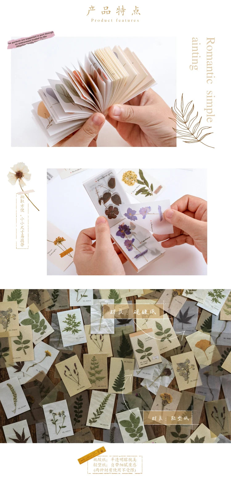 Journamm 50pcs Vintage Beautiful Plant Retro Card Kraft Cards for Deco Stationery LOMO Cards Stationery Notepad Sticky Notes