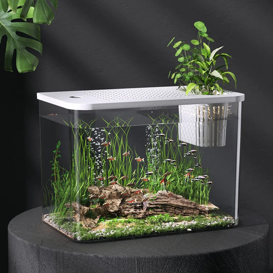 PET+ABS Fish Tank New Transparent with Lid Aquarium Drop Resistant Hydroponic Tank Turtle Tank Home