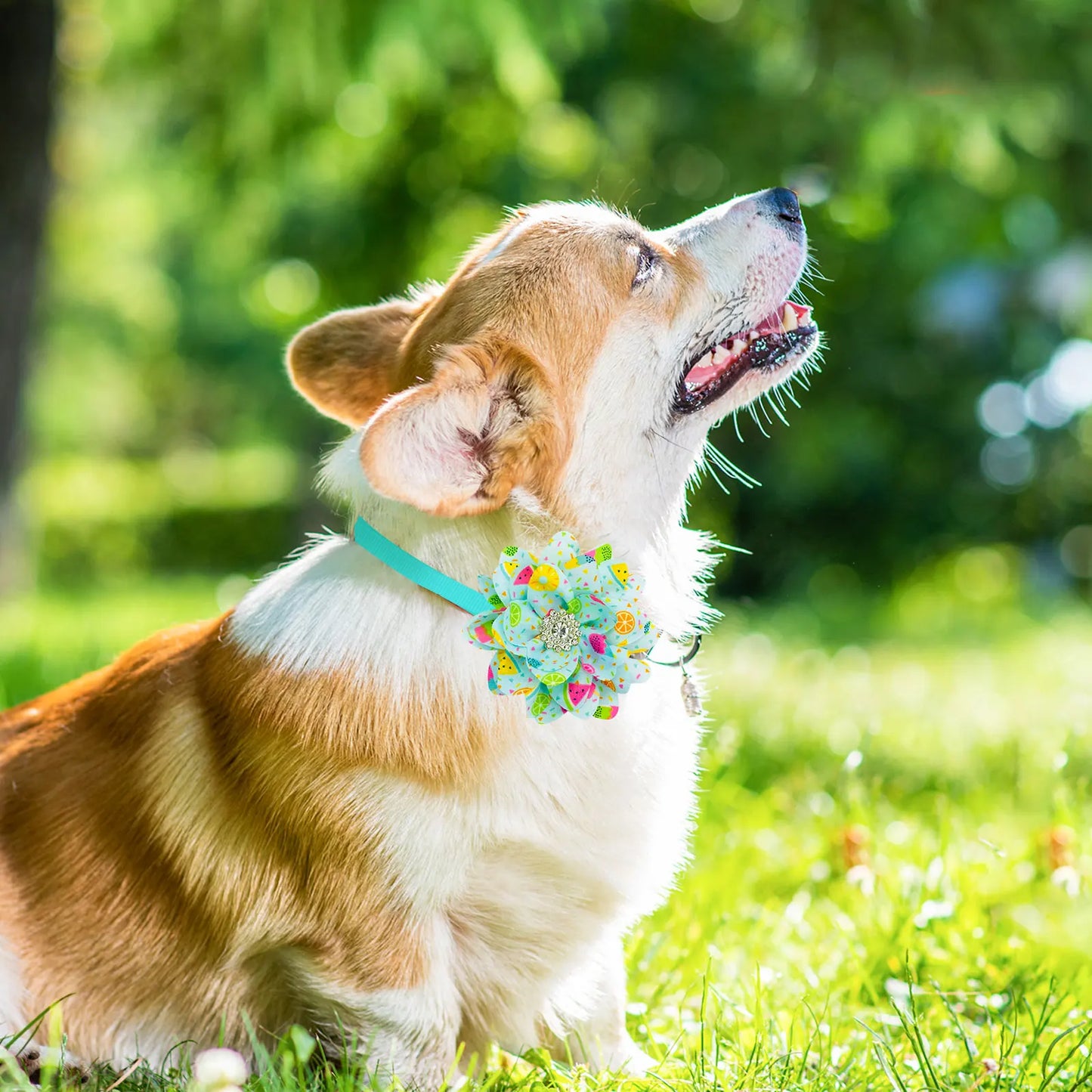 10PCS Pet Dog Cat Bowties Adjustable Fashion Flower Collar Dog Bow Tie Personalised Small and Medium Sized Dog Accessories