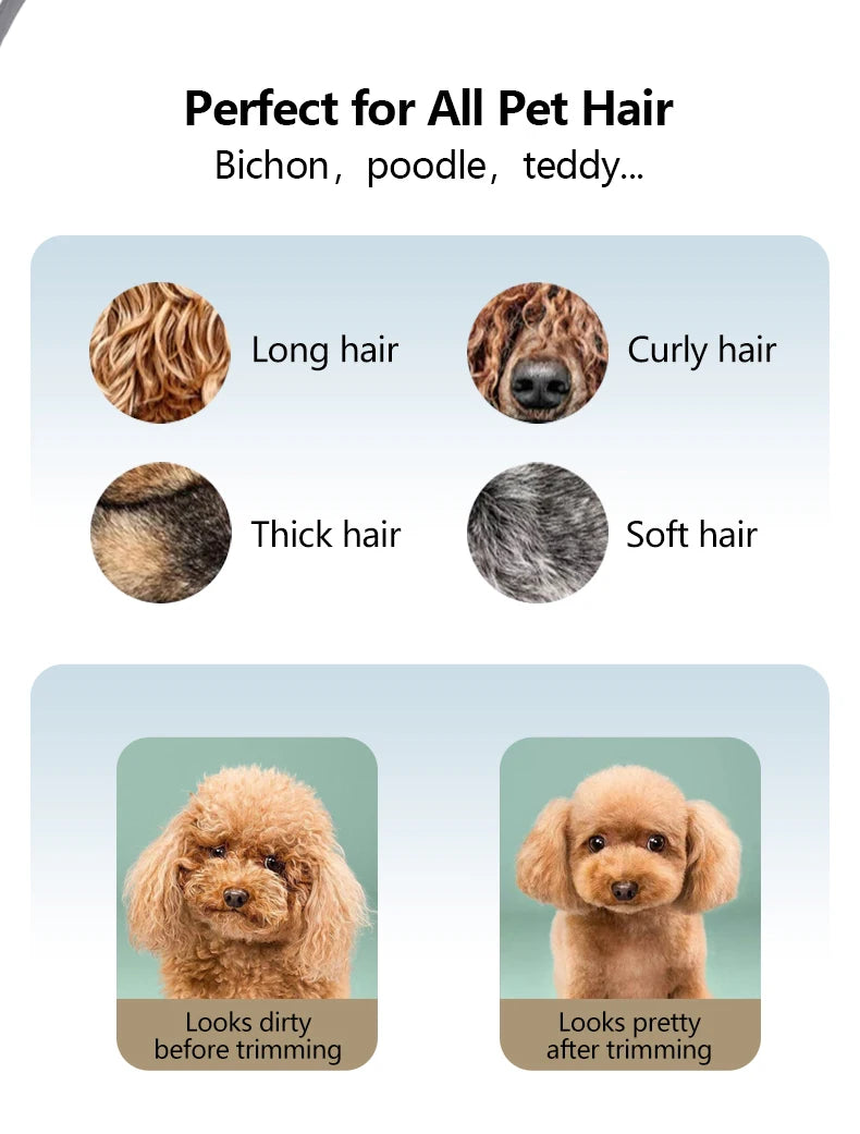 Fenice  Professional Home Pets Grooming Set 6//6.5/7/7.5 Inch Bearing Screw Straight Curved Thinning Chunker Shears for Dogs/Cat