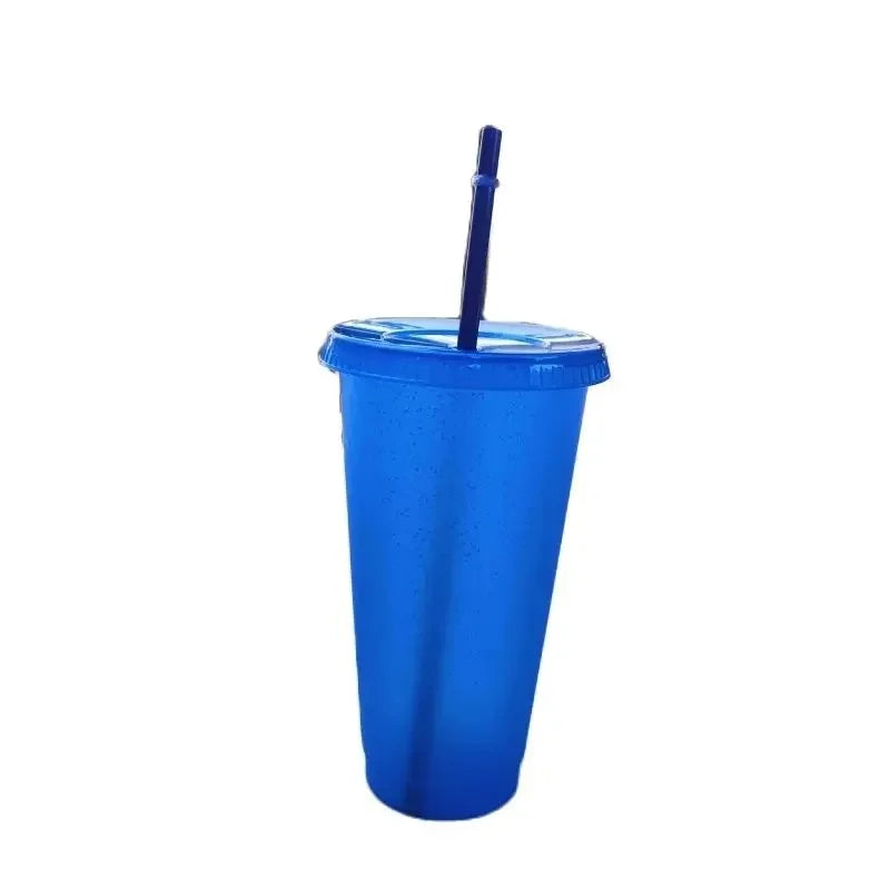 500/710ML Flash Powder Water Bottle With Straws Lid Plastic Reusable Personalized Drinkware Coffee Drinking Cup Christmas Gifts