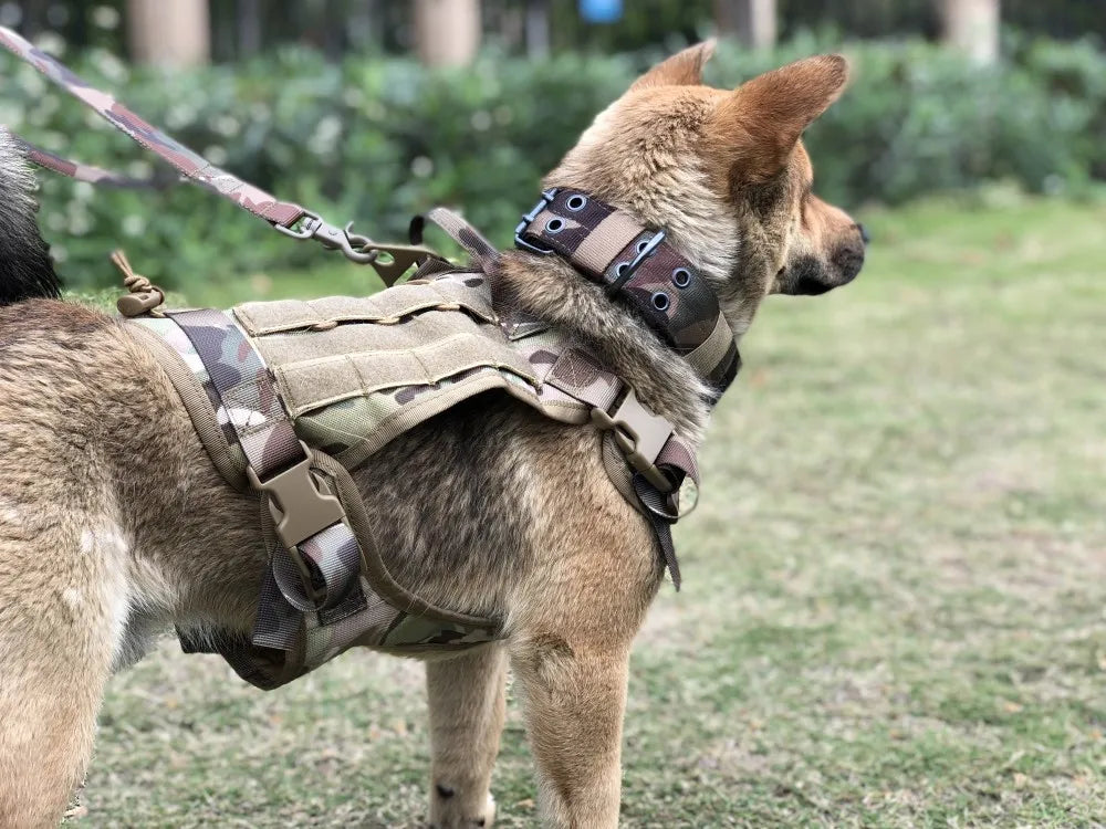 Large Dog Collar Military Dog Harness And Leash Set Pet Training Vest Tactical German Shepherd K9 Harnesses For All Sizes Dogs