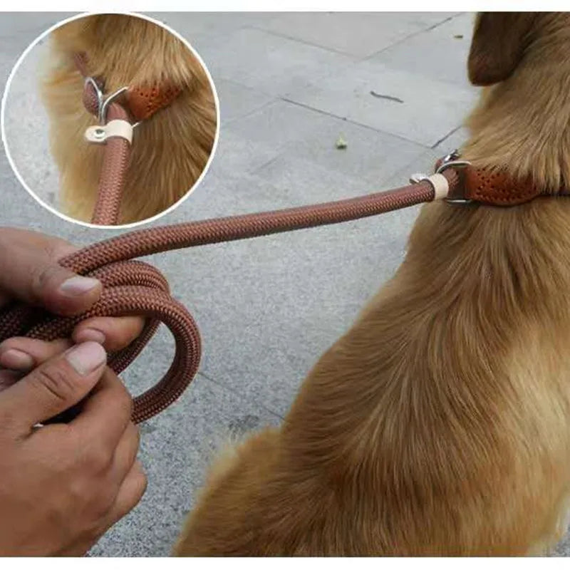 Explosion proof P chain anti slip P rope nylon traction rope non tight dog rope dog walking rope dog chain small medium arge dog