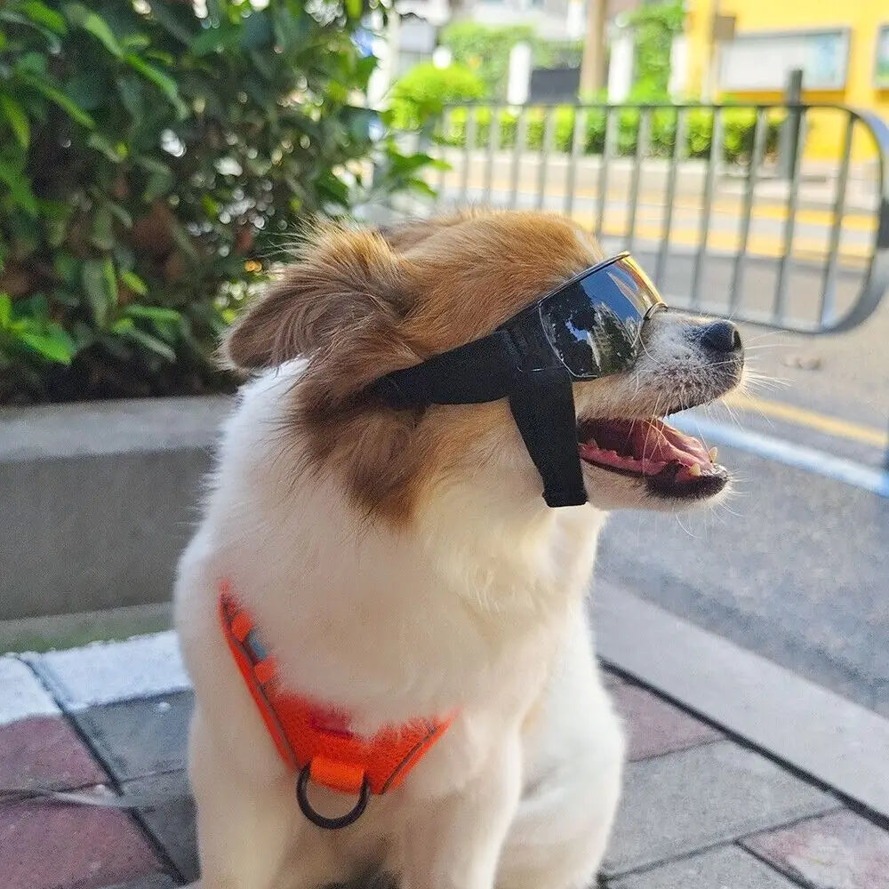 Dog Goggles Dog Sunglasses Adjustable Strap for Small Breed UV Protection Eyewear for Small Dog puppy Outdoor Riding Driving
