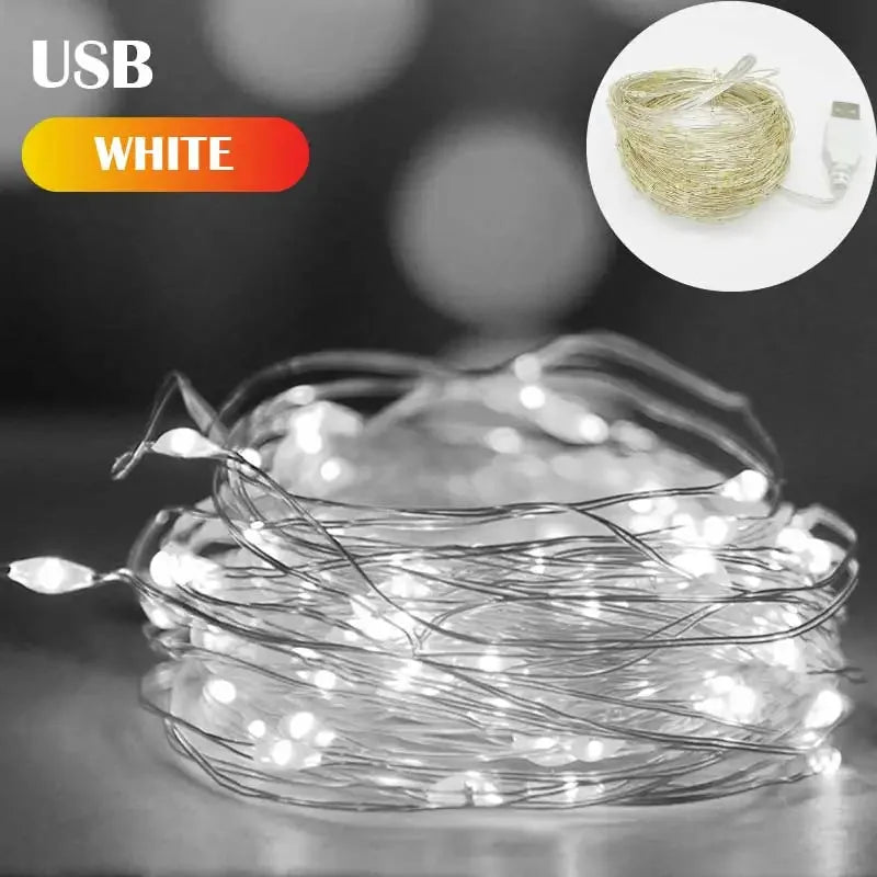 New Year Christmas Decoration Holiday Fairy Lamp Copper Wire USB Led Indoor Home Decor Warm White RGB String With Remote Control