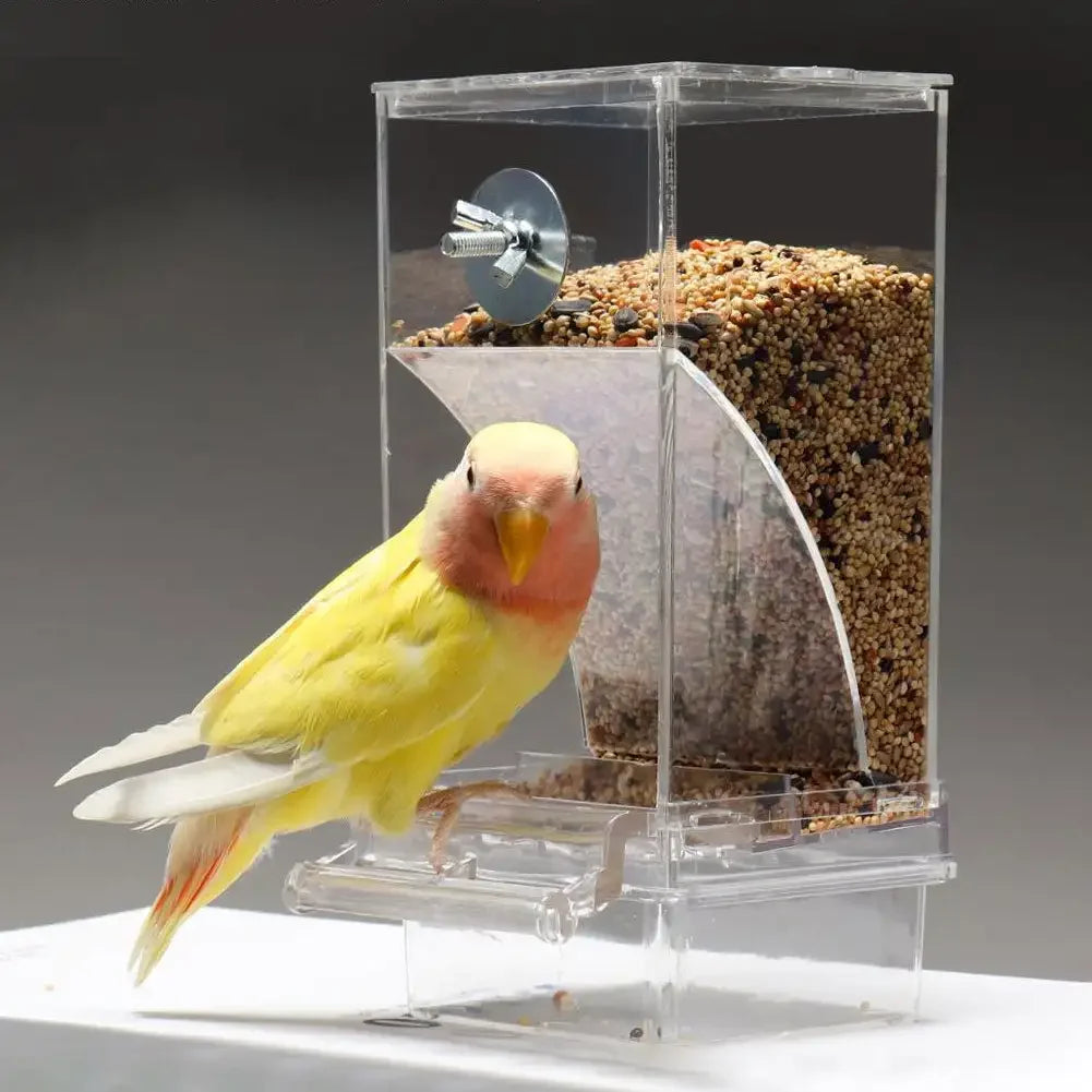 Automatic Bird Feeders No Mess Parrot Feeder Drinker Acrylic Seed Food Container Cage Accessories For Small And Medium Parakeets