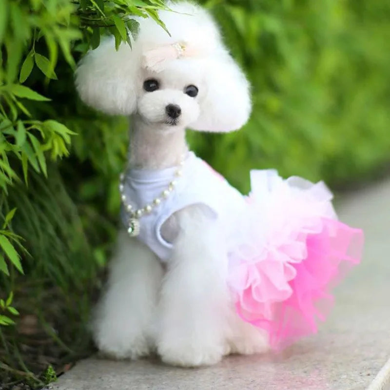 Summer Pet Princess Clothes Pet Dog Dress For Dogs Skirt Cotton Dog Wedding York chihuahua poodle For Dogs Skirts Cat Dresses