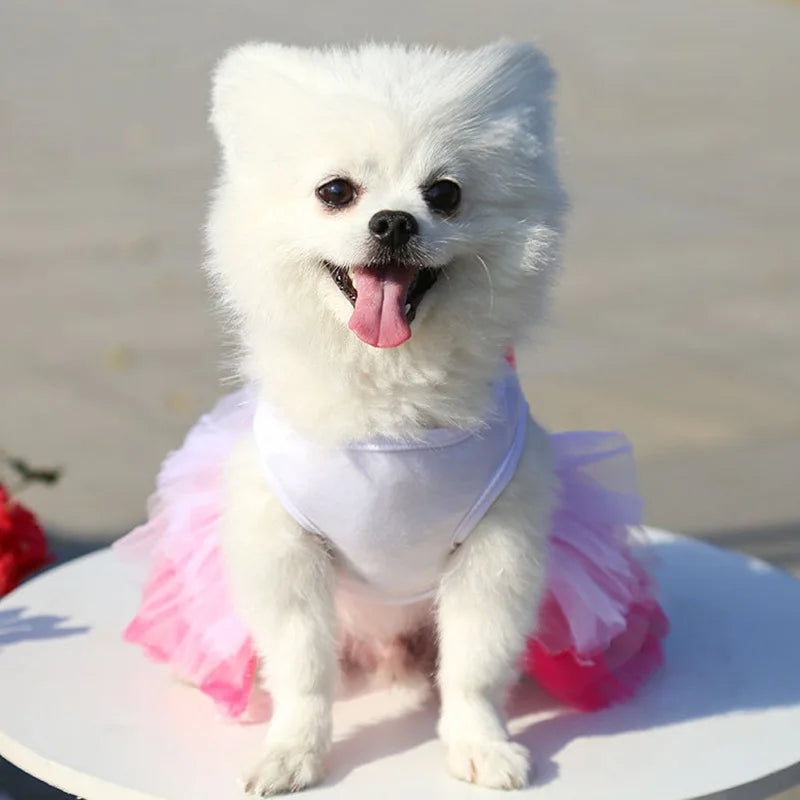 Summer Pet Princess Clothes Pet Dog Dress For Dogs Skirt Cotton Dog Wedding York chihuahua poodle For Dogs Skirts Cat Dresses