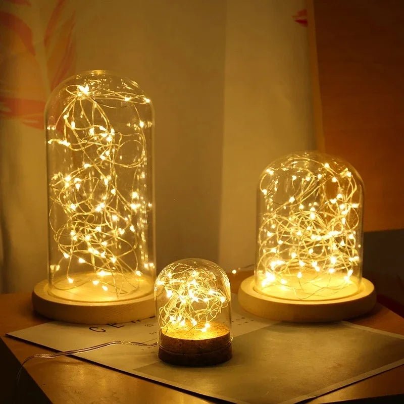 New Year Christmas Decoration Holiday Fairy Lamp Copper Wire USB Led Indoor Home Decor Warm White RGB String With Remote Control