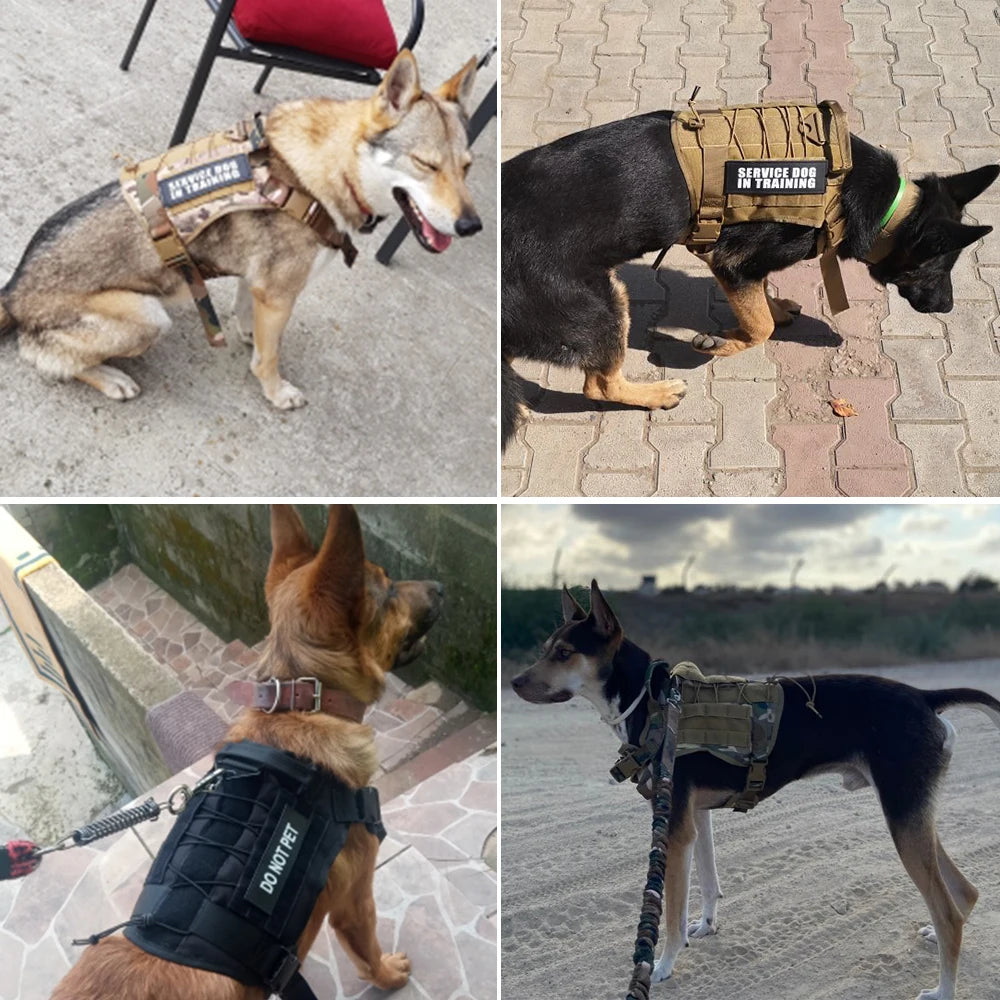 Large Dog Collar Military Dog Harness And Leash Set Pet Training Vest Tactical German Shepherd K9 Harnesses For All Sizes Dogs